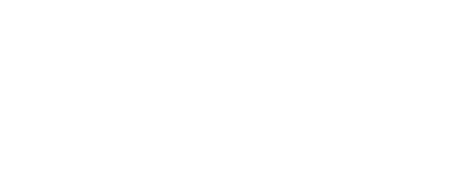 Rockflow logo white copy