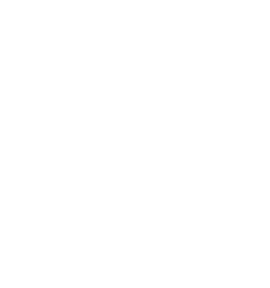 reves logo white